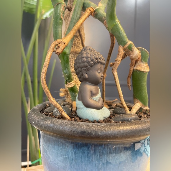 Little Buddha Meditating - Picture 4 of 5